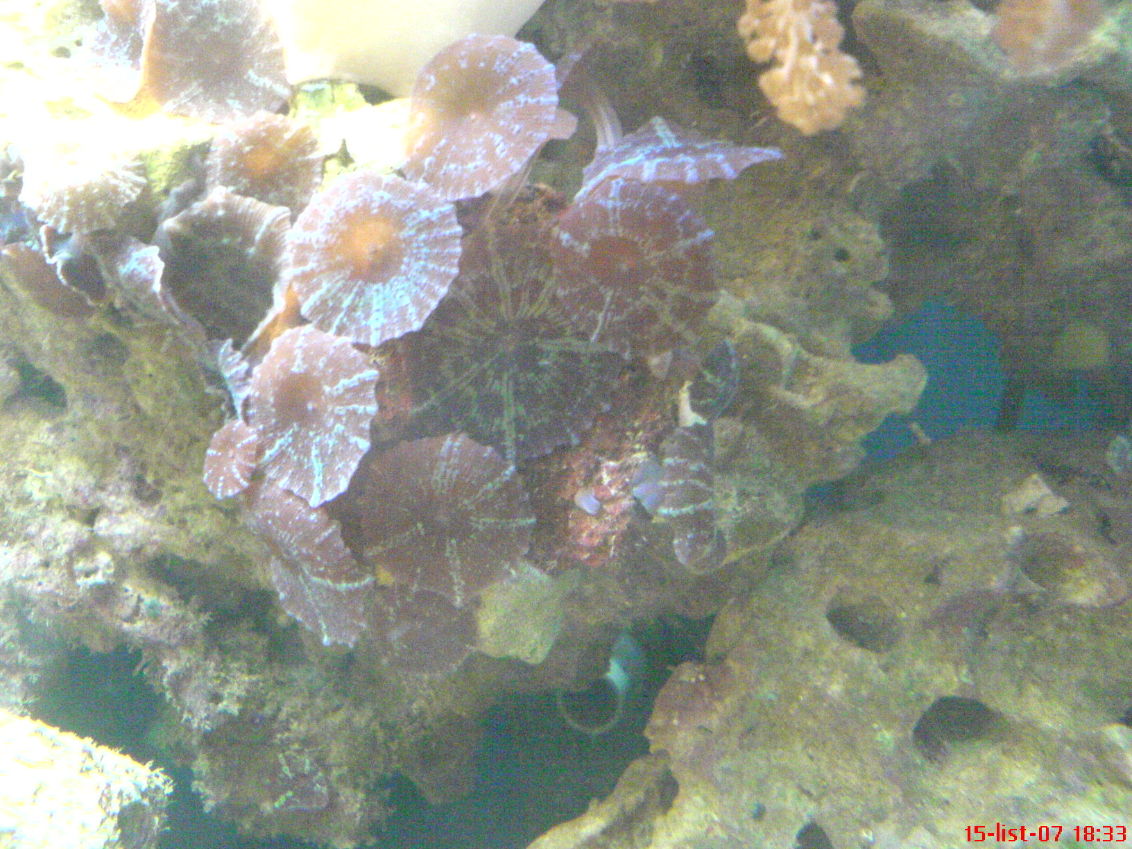 DSC00853.JPG