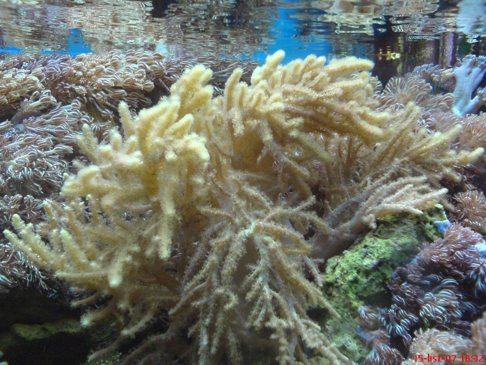 DSC00852.JPG