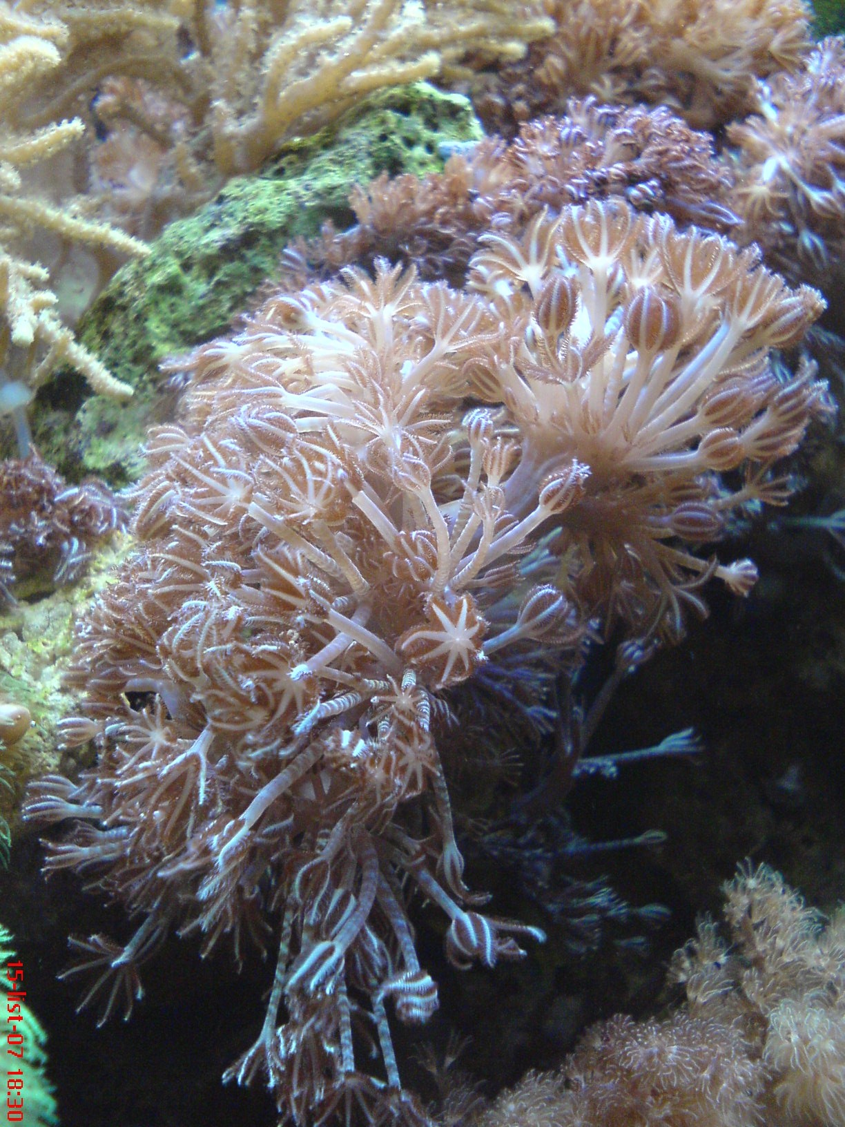 DSC00850.JPG