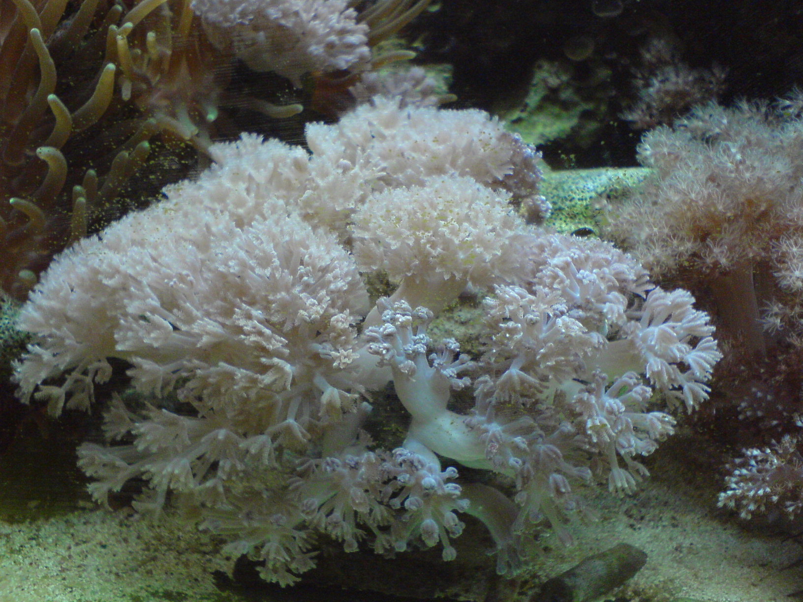 DSC00836.JPG