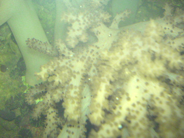 DSC00865.JPG