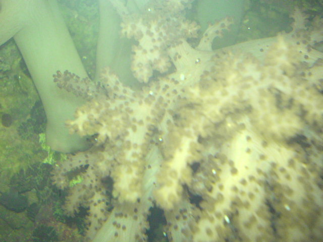 DSC00866.JPG