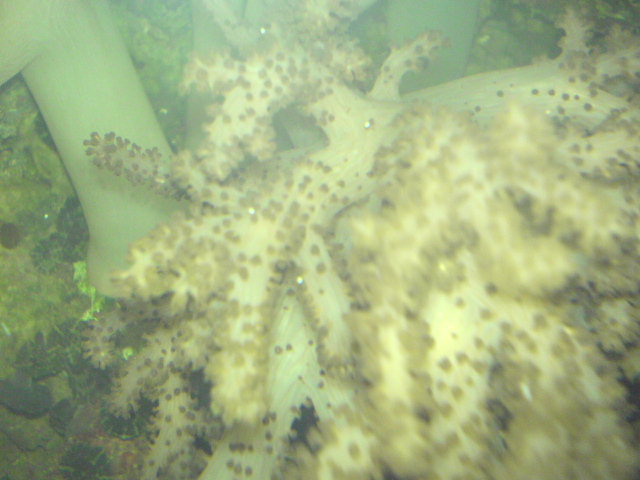 DSC00864.JPG