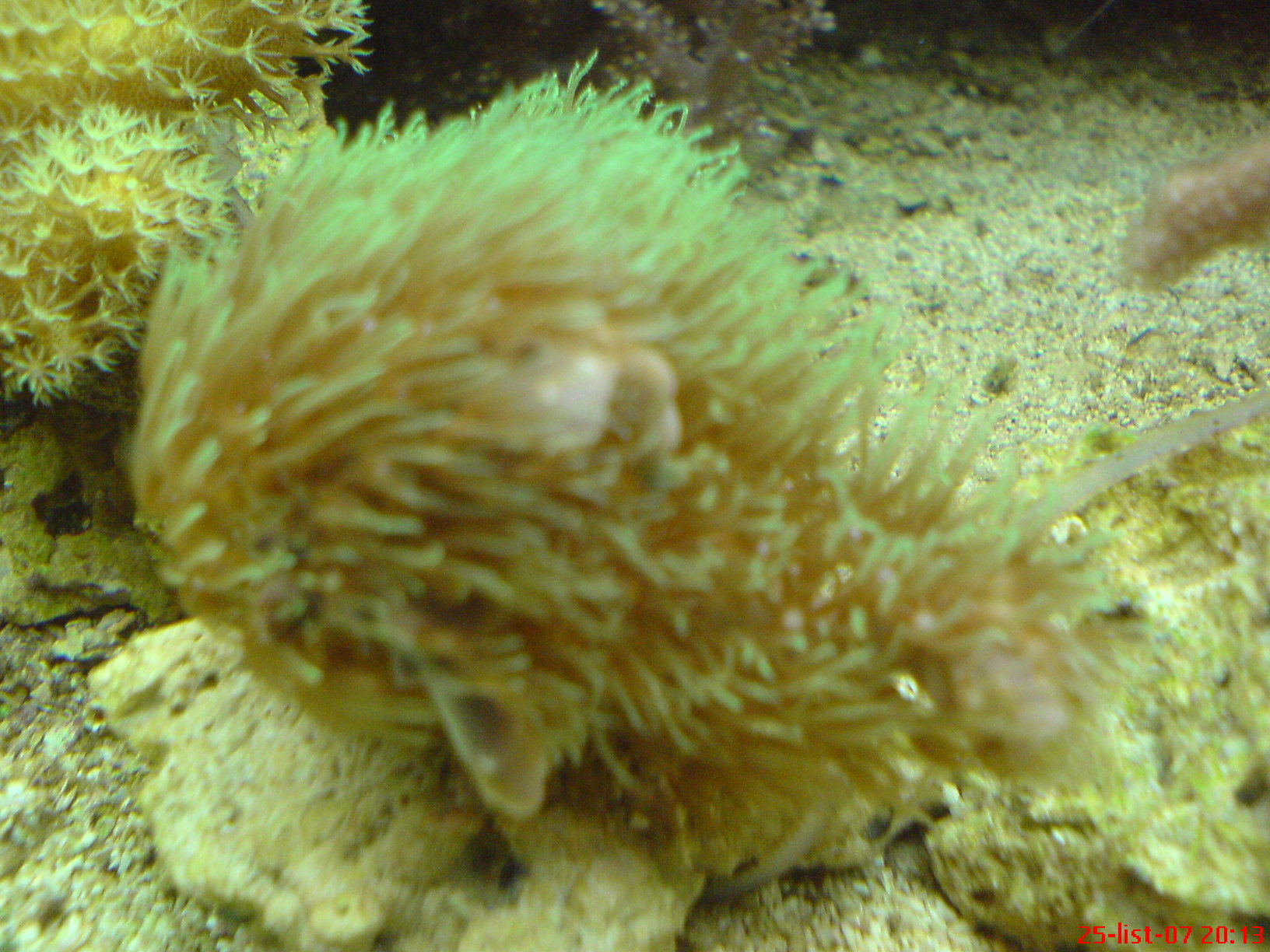DSC00872.JPG