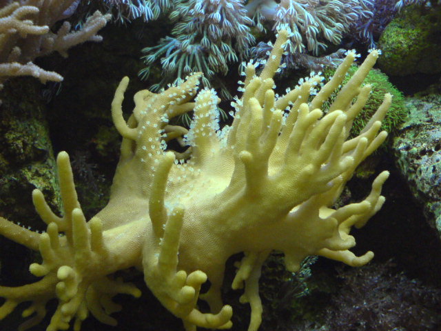 DSC00390.JPG