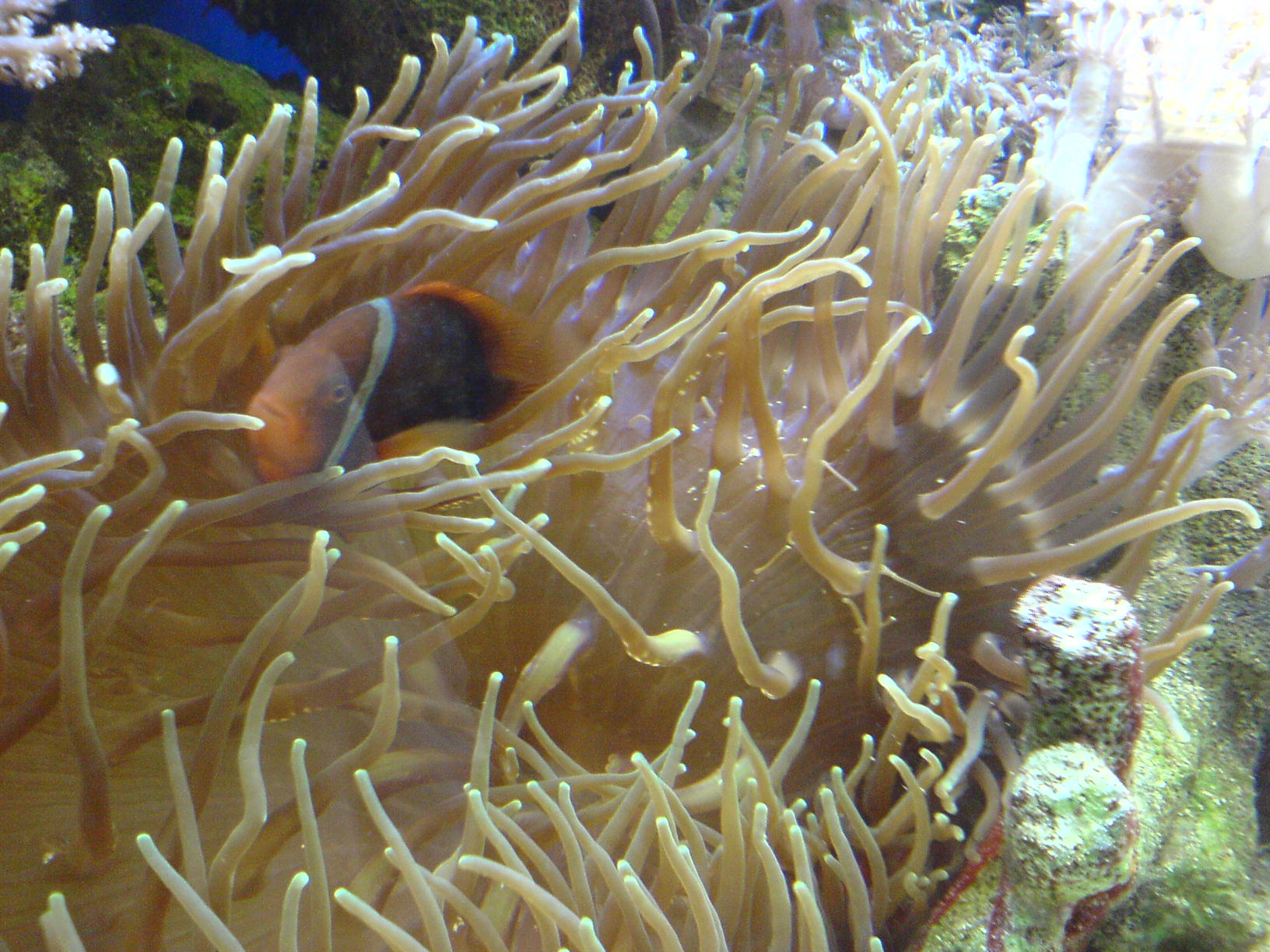 DSC00222.JPG