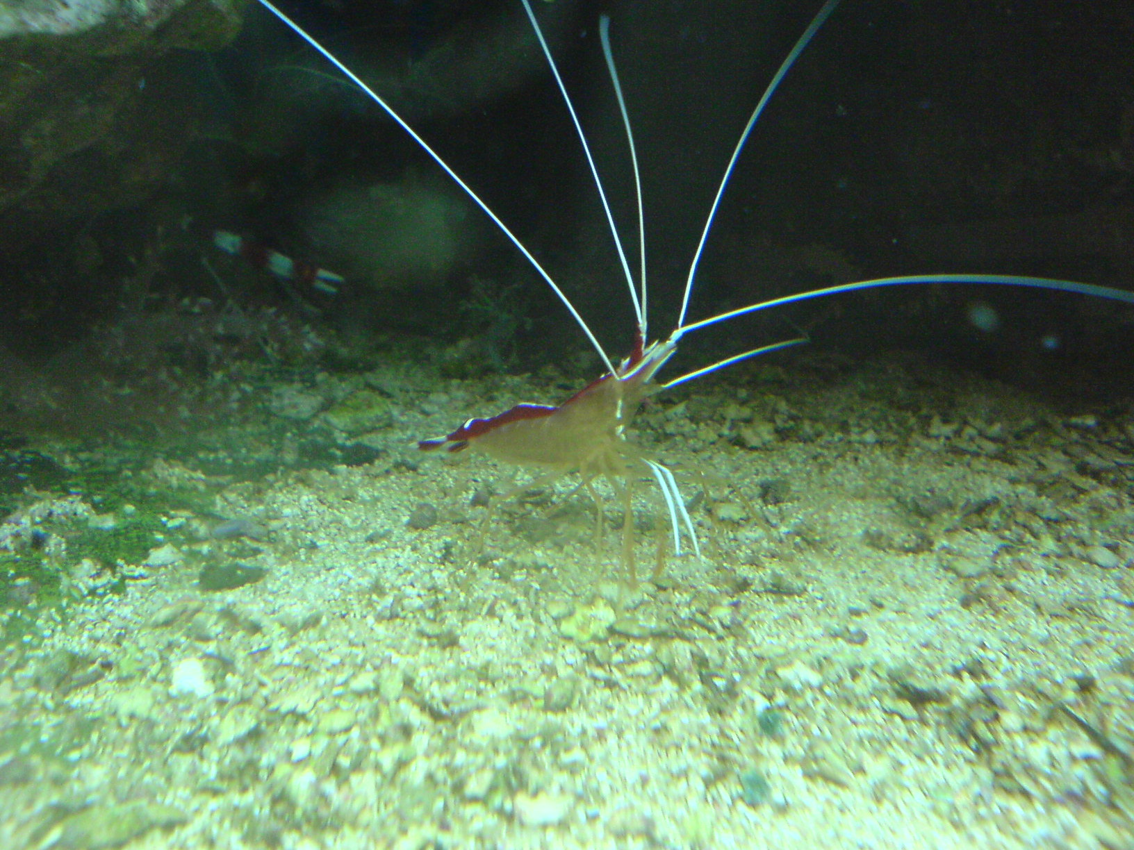 DSC00827.JPG