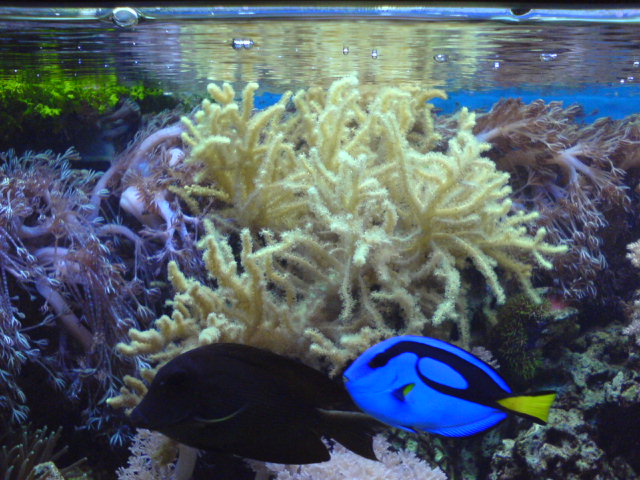 Snímek 049.jpg