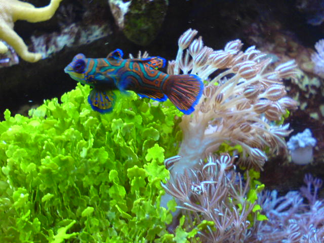 Snímek 098.jpg