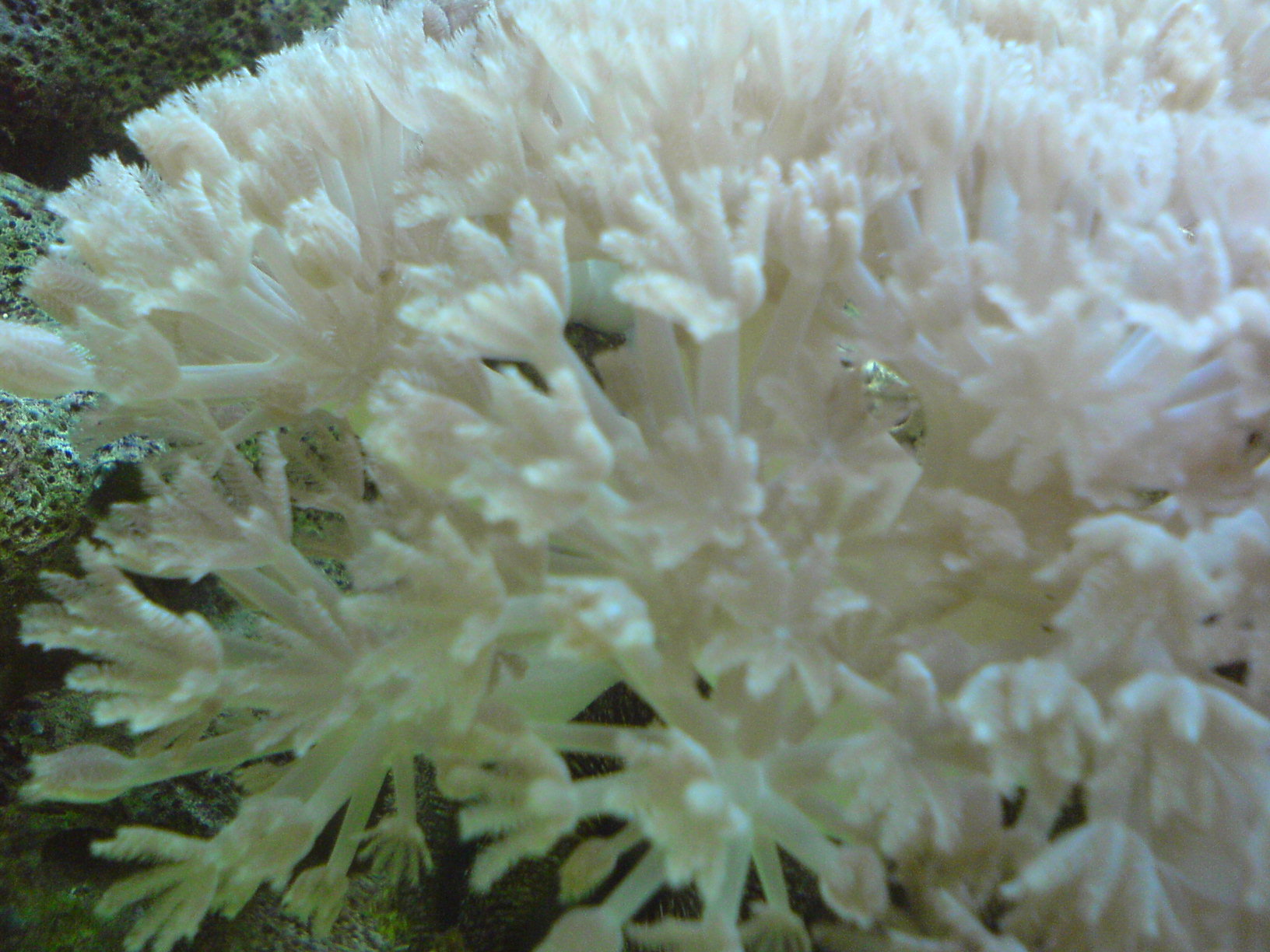 DSC00828.JPG