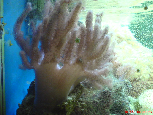 Dsc01001.jpg