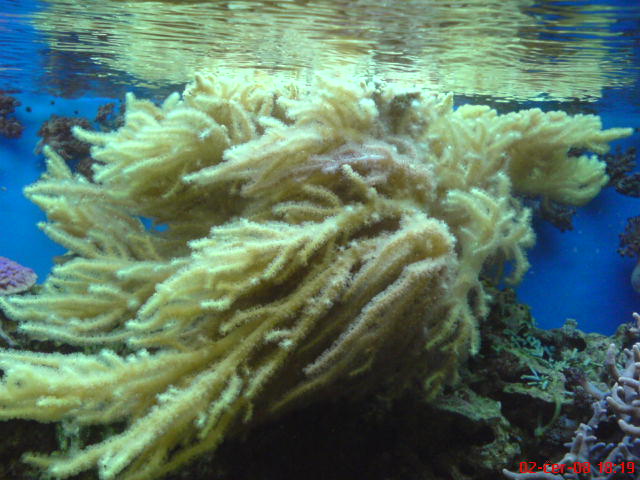 DSC01080.JPG