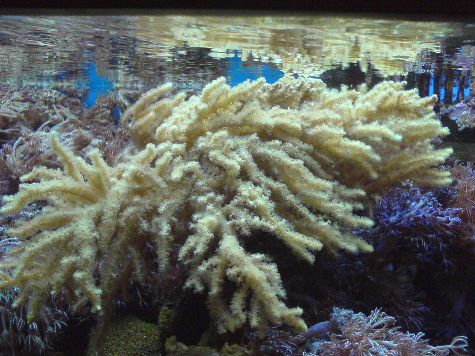 DSC00832.JPG